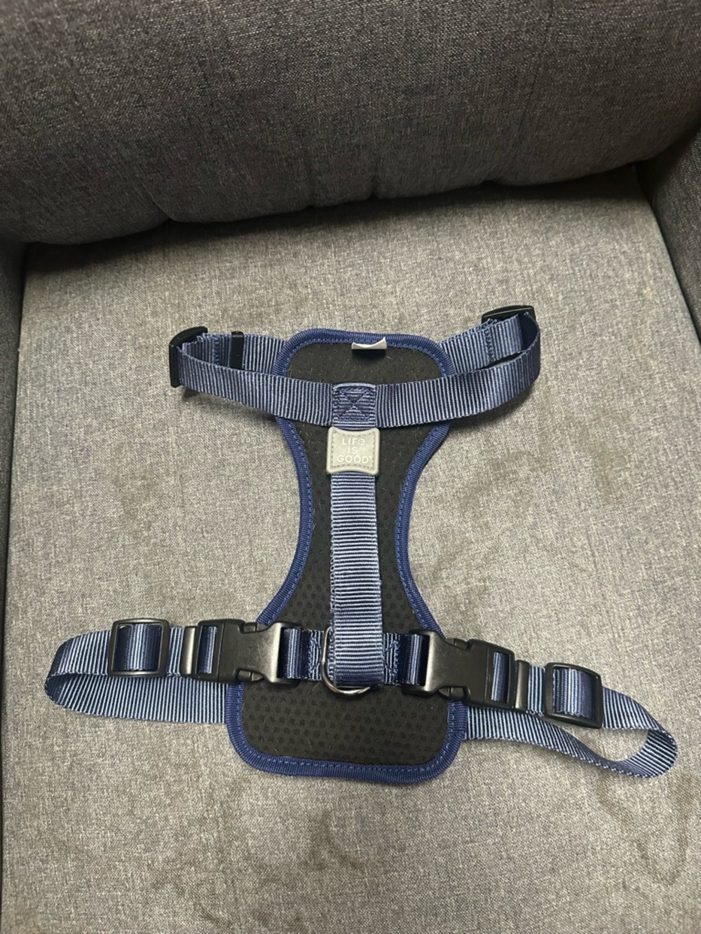 Life is Good Daisy Dog Harness- Baja Yellow - Picture 6 of 8